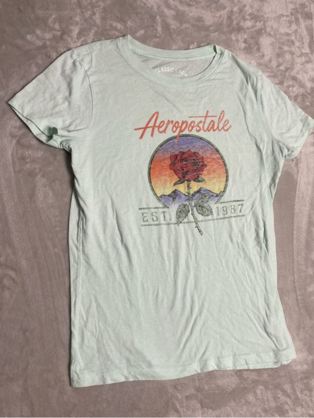 Aeropostale Light Mint Short-Sleeve Tee with Red Rose Graphic
